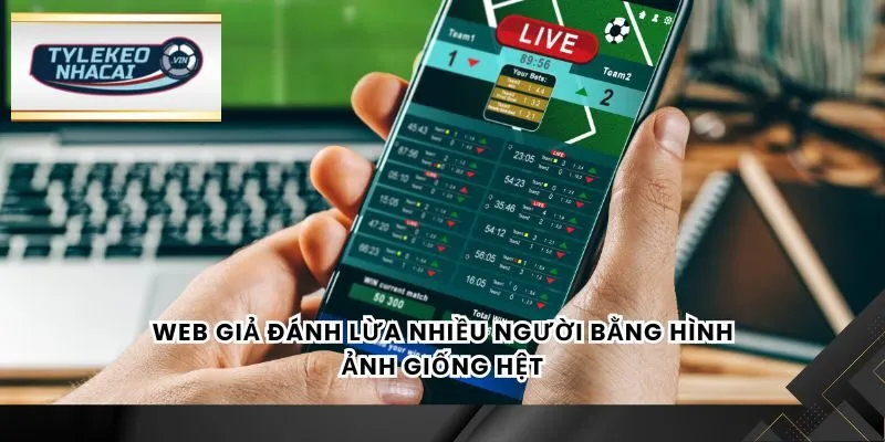 Web giả đánh lừa nhiều người bằng hình ảnh giống hệt